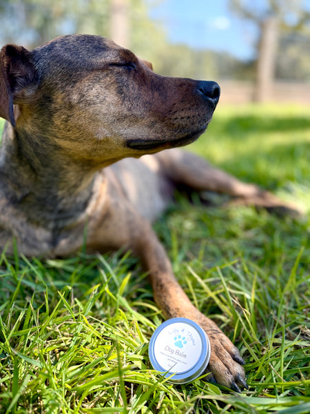 Dog Balm