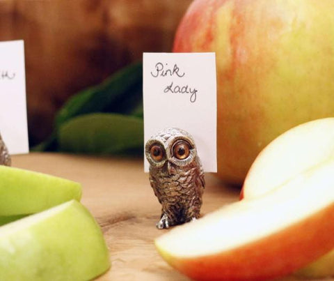 Owl Place Card Holder