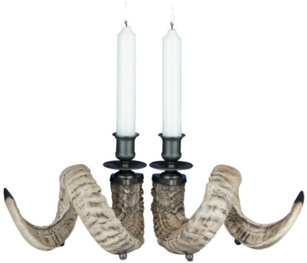 Ram Horn Candleholder