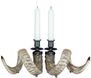 Ram Horn Candleholder